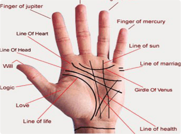 Palmistry Specialist